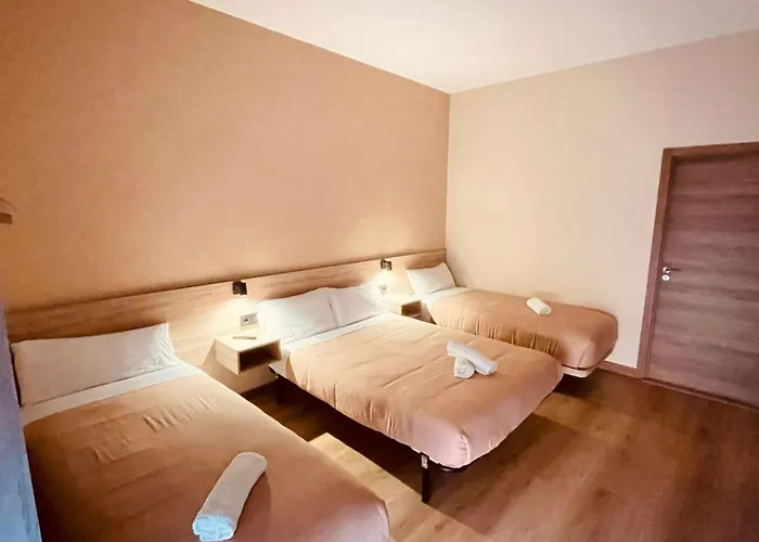 Optimus Comfort Campoamor 101 Guest house